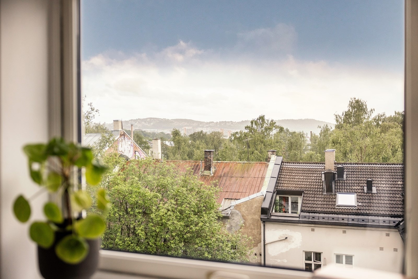 Utsikt fra kjøkkenet! Galleribilde