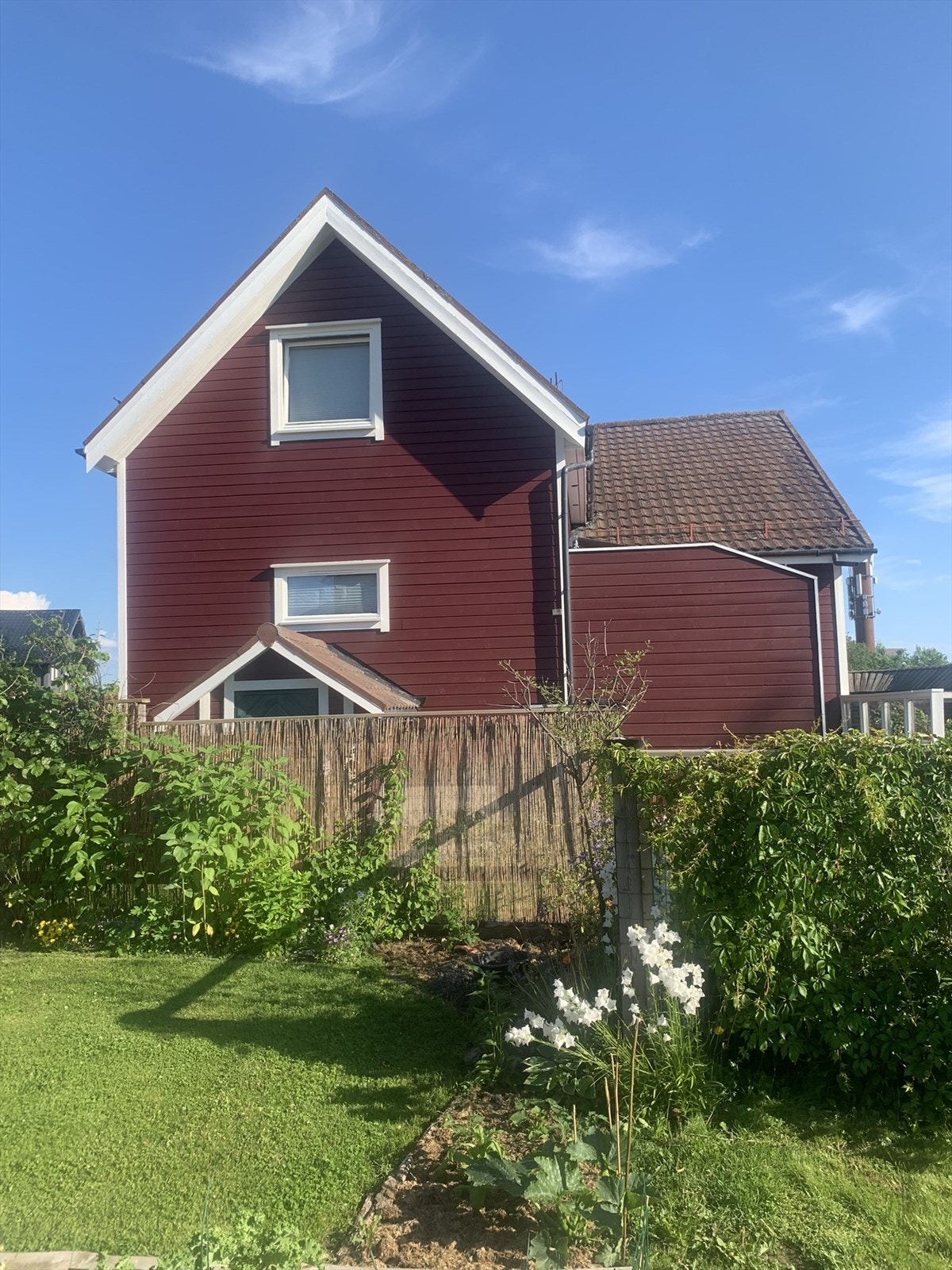Fasade sommer Galleribilde