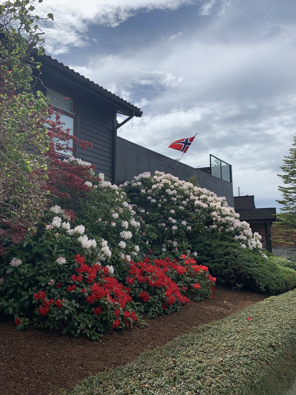 Selgers private bilde - nydelig blomstring på forsiden av huset sommerstid Galleribilde