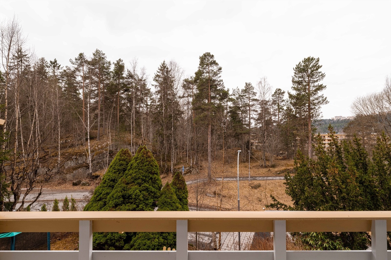 Utsikt over de rolige og grønne omgivelsene. Galleribilde