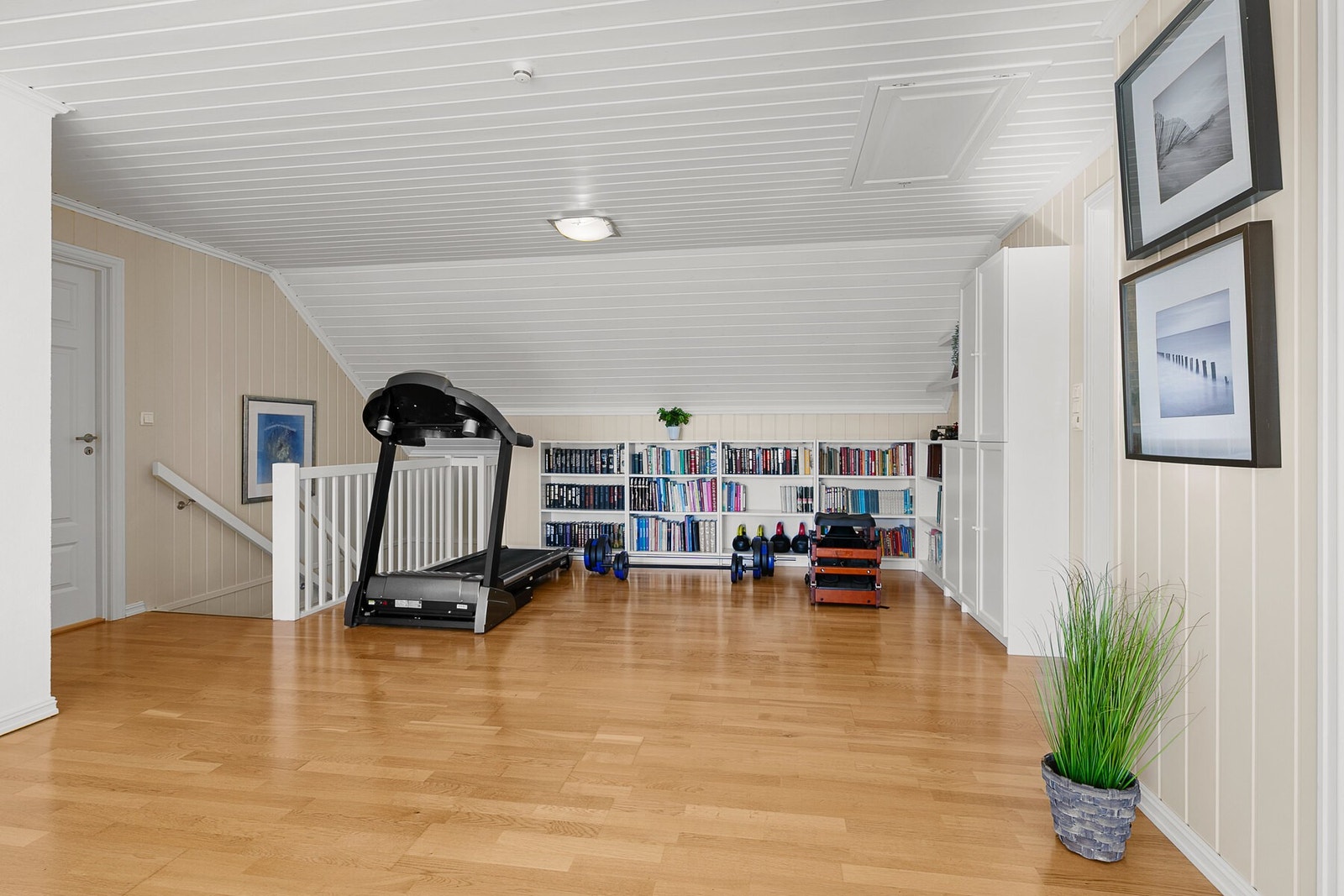 Romslig stue med treningsutstyr og bokhyller. God plass til ulike aktiviteter. Galleribilde