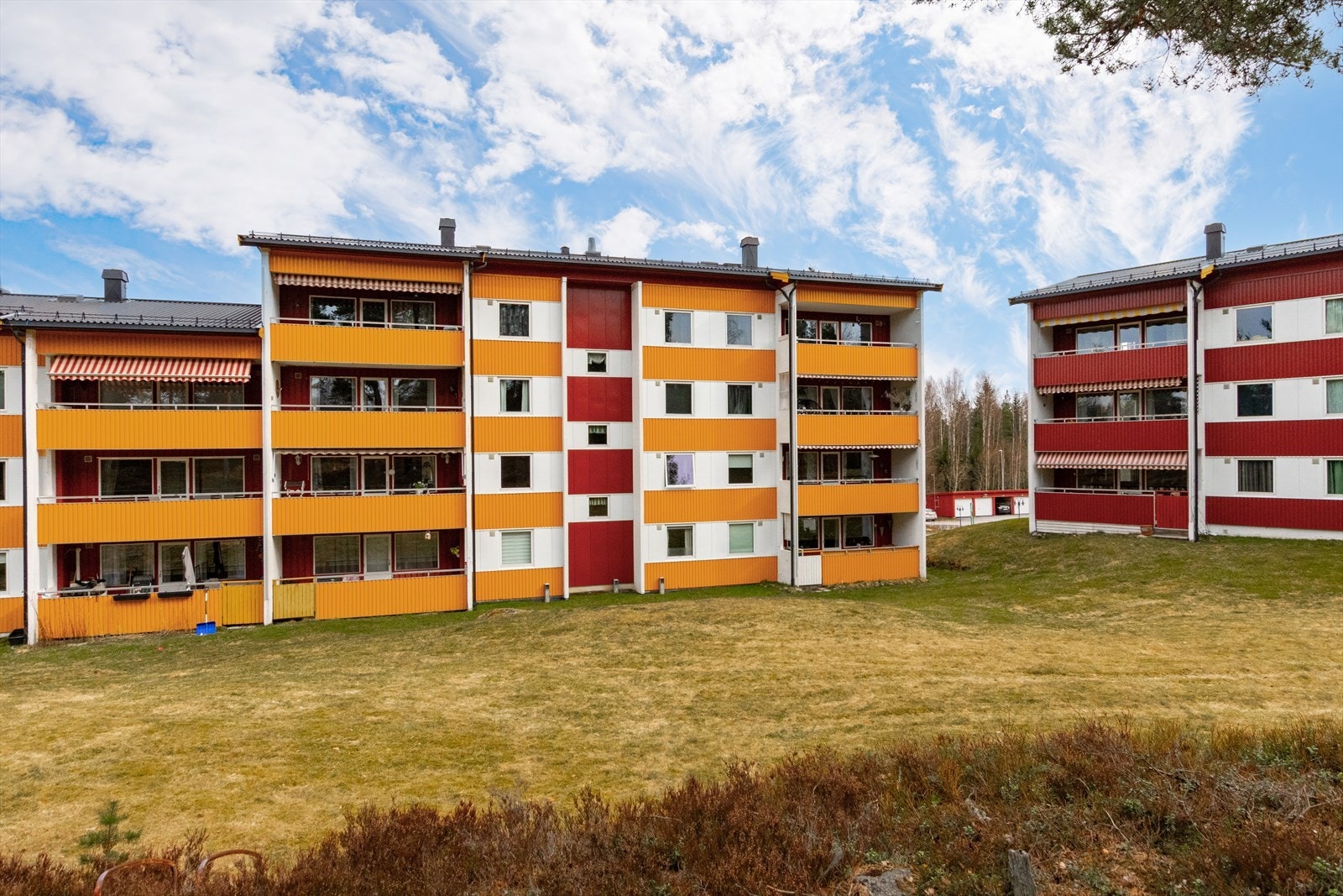 Tiurvegen 20! Galleribilde