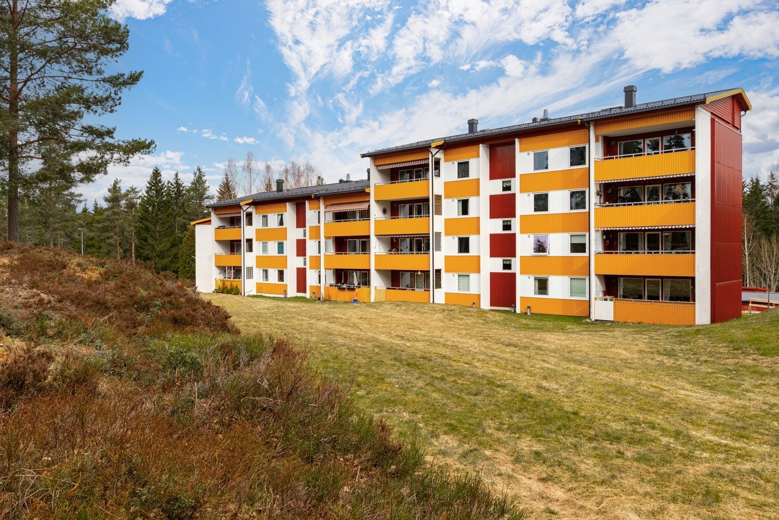 Flott grøntområde rett utenfor blokken. Galleribilde