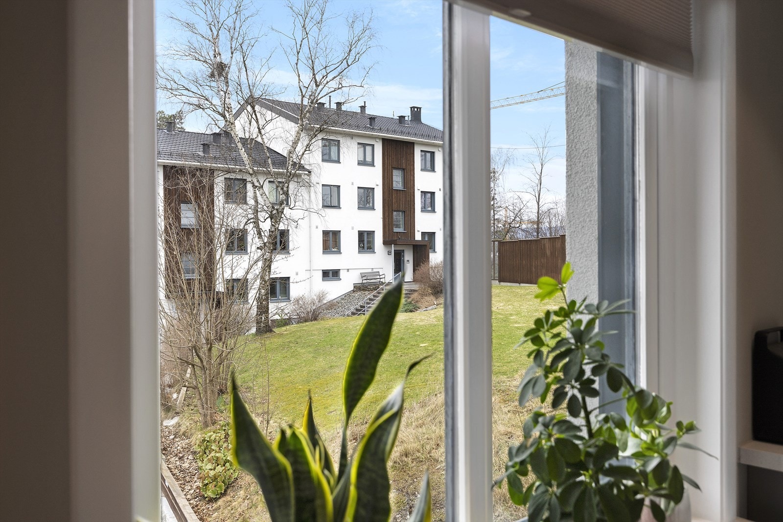 Frodige omgivelser rundt leiligheten. Galleribilde