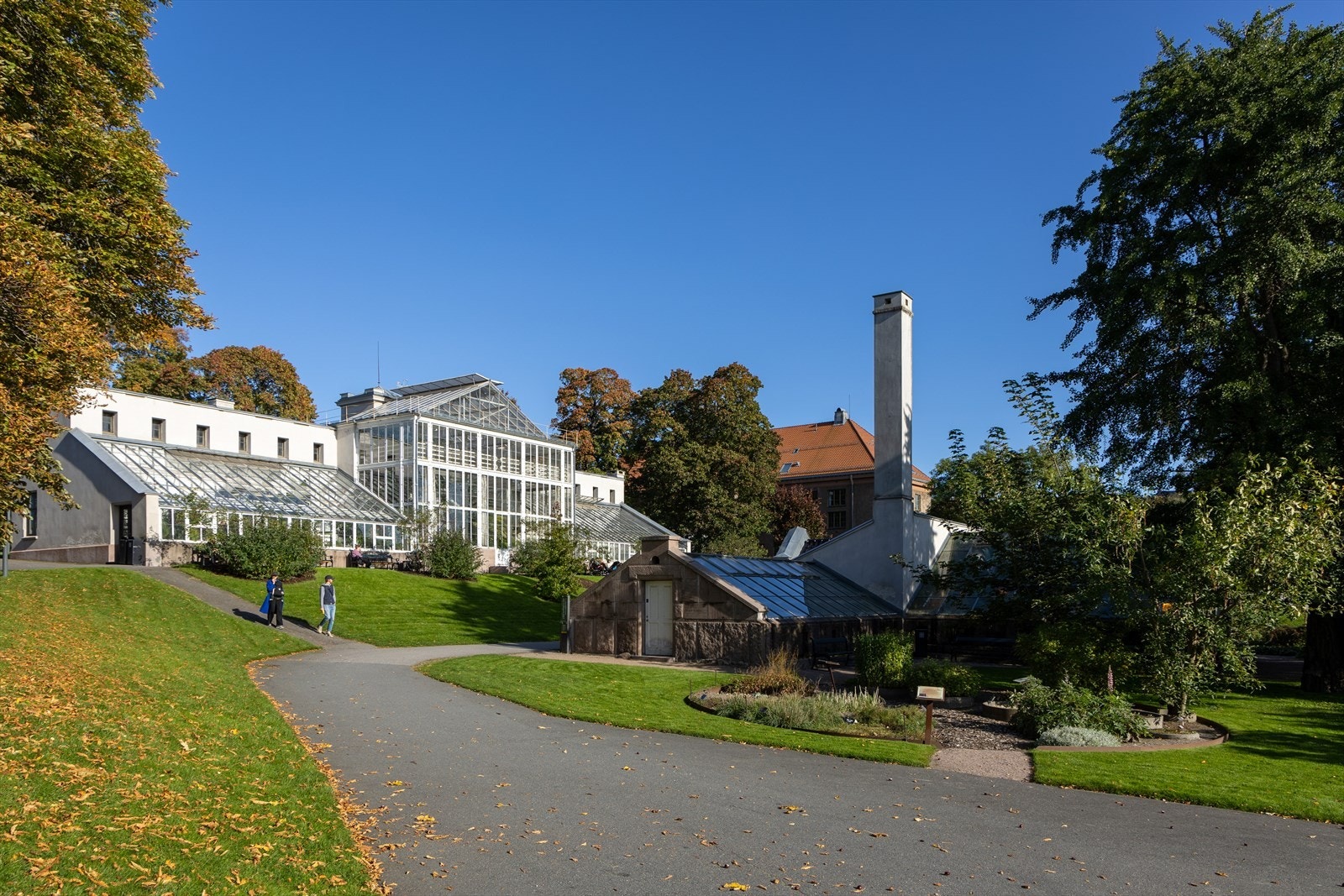 Botanisk hage er en av de nærmeste naboene, en grønn oase for rekreasjon og rolige ettermiddager Galleribilde