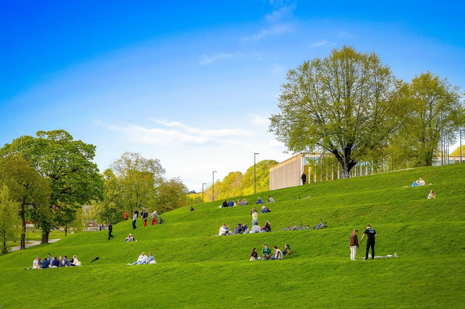 Store grøntområder som Tøyenparken gir rikelig med muligheter for løpeturer og sosiale samlinger Galleribilde