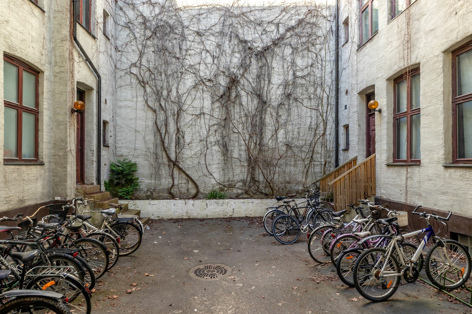 Bakgård med sykkelparkering Galleribilde