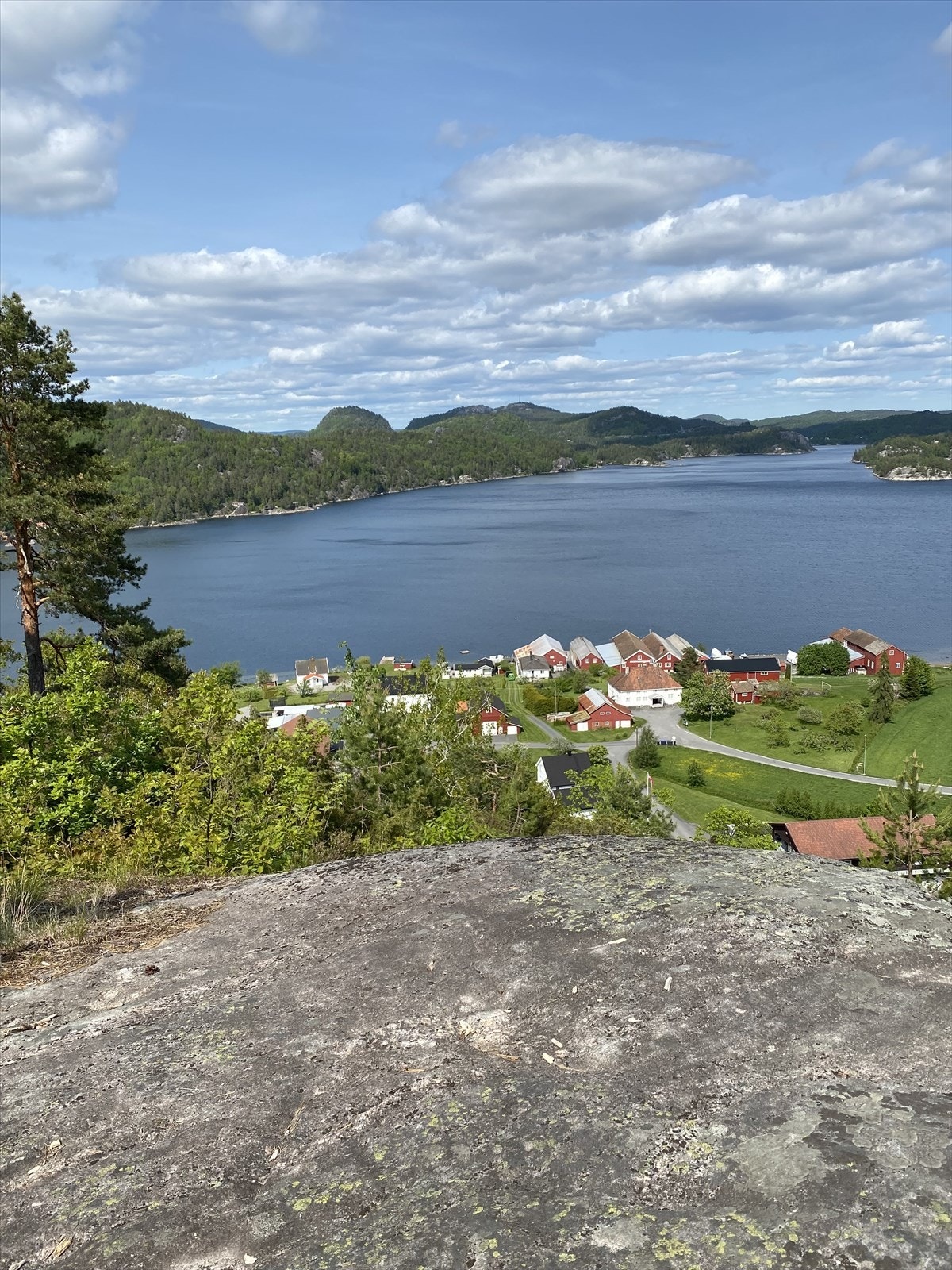 En kort spasertur unna finner man Fløyknatten! Her finner man roen i en travel hverdag. Galleribilde
