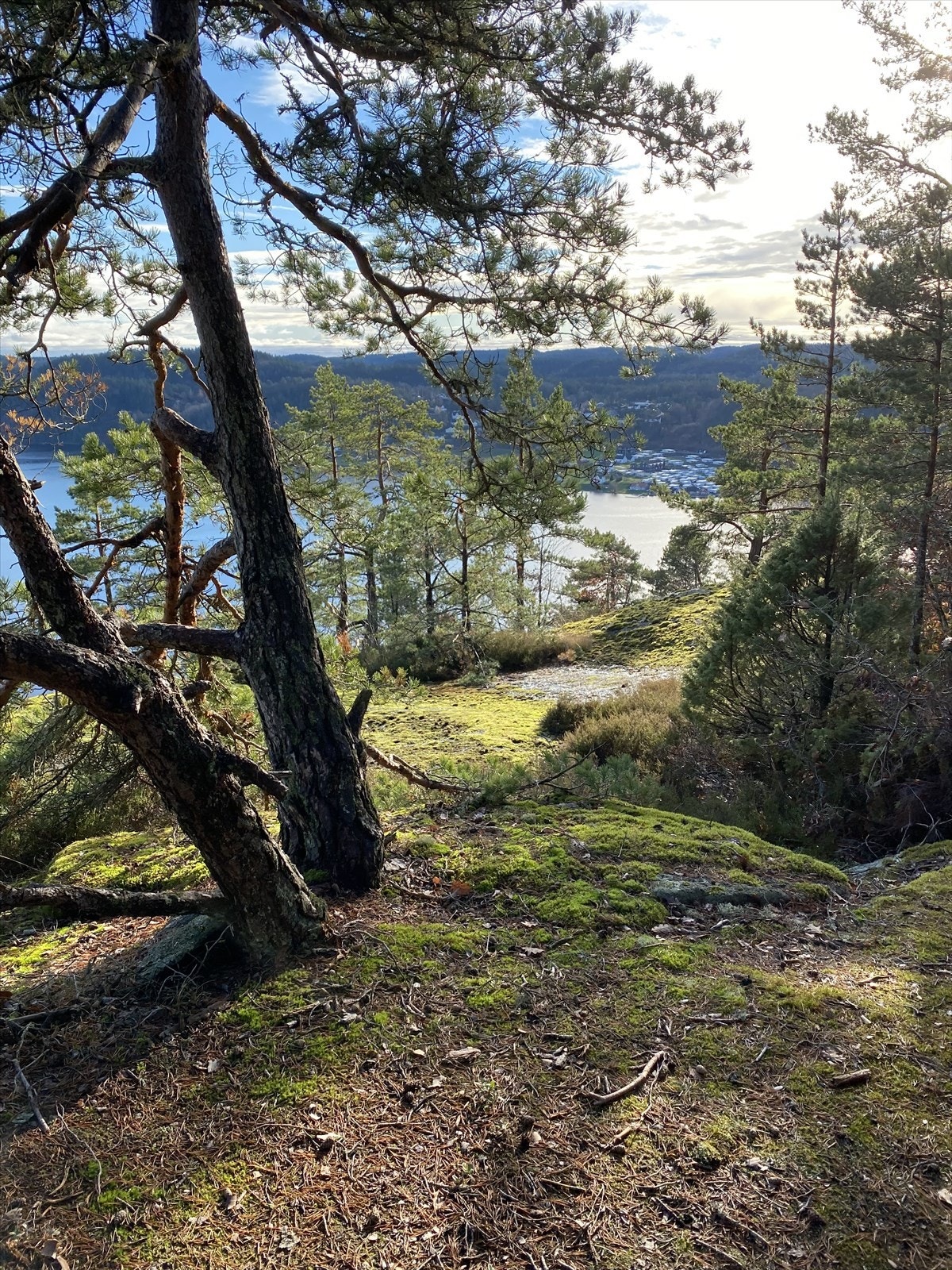 Her er man omringet av vakker norsk natur så langt øyet kan se. Galleribilde