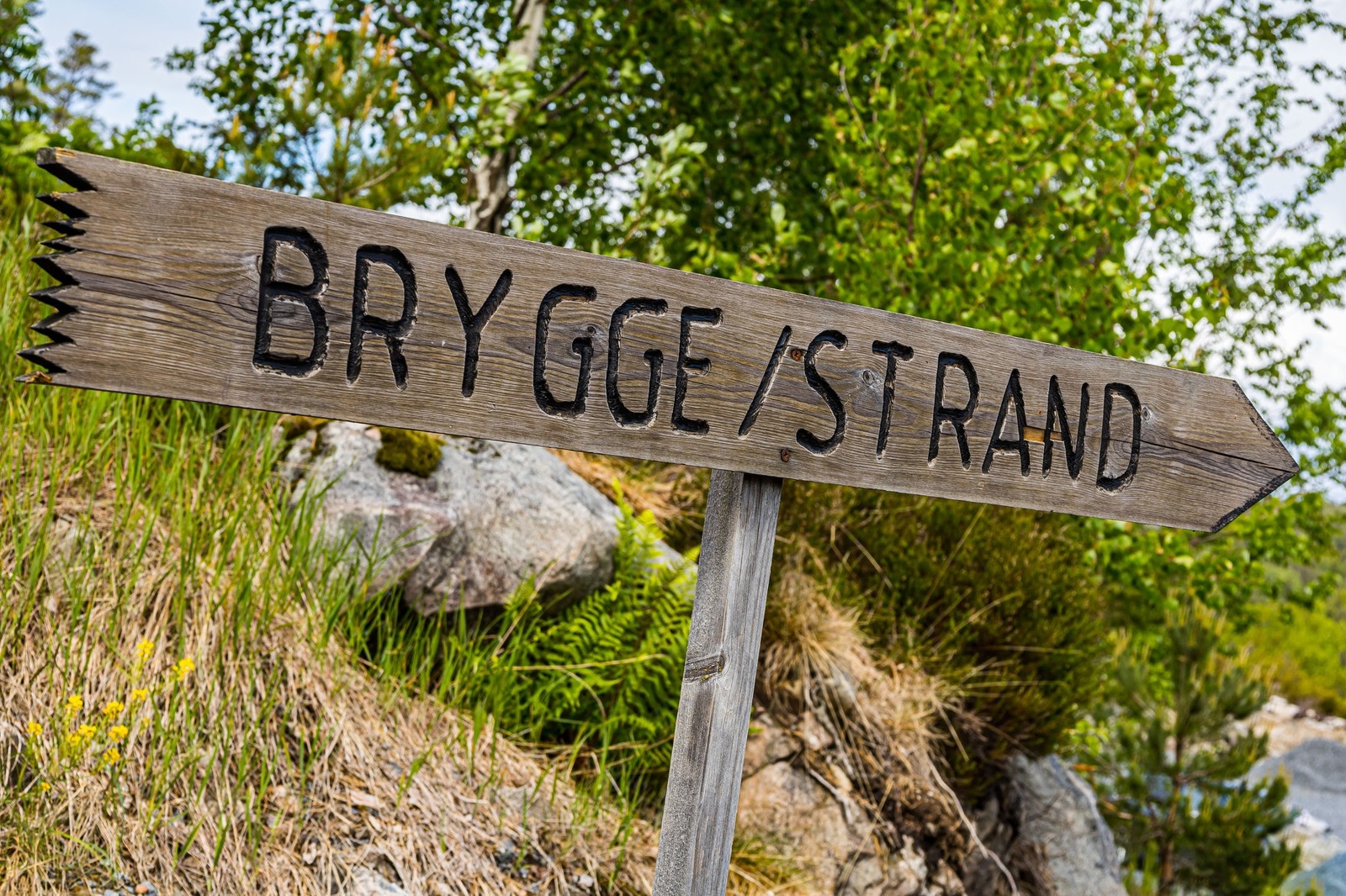 Kort vei ned til brygge og strand. Galleribilde