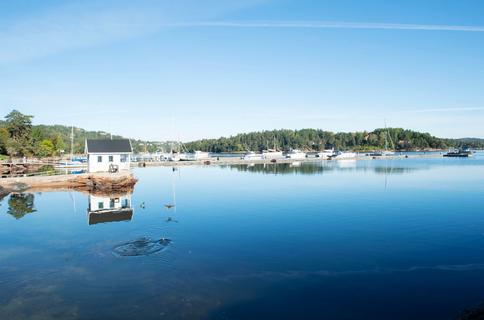 Leiligheten har kort vei til sjøen Galleribilde