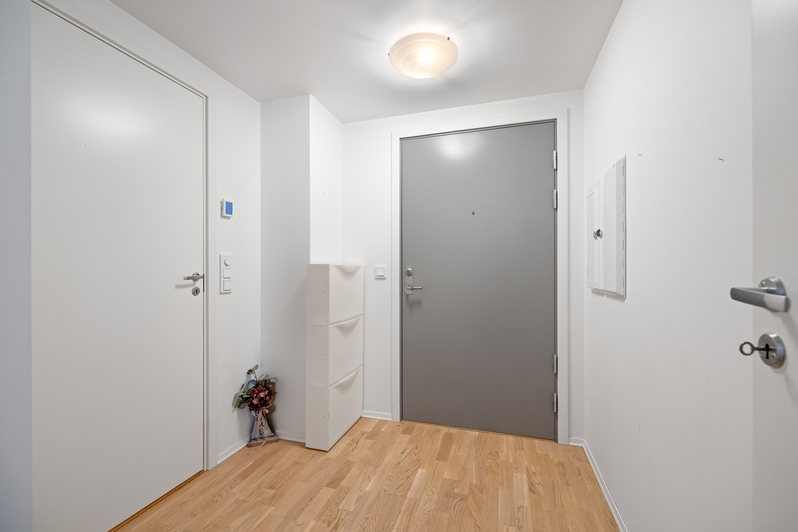 Entréen har plass til oppbevaring og en solid dør med brann- og lydklassifisering. Galleribilde