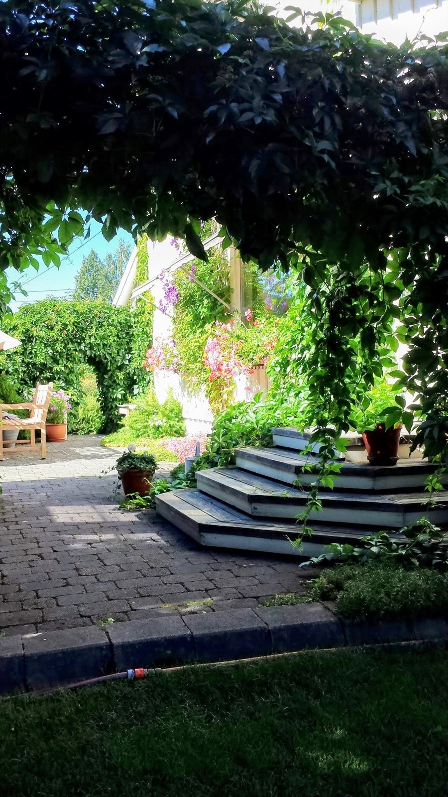 Grønn og frodig hage. Selgers eget sommerbilde Galleribilde