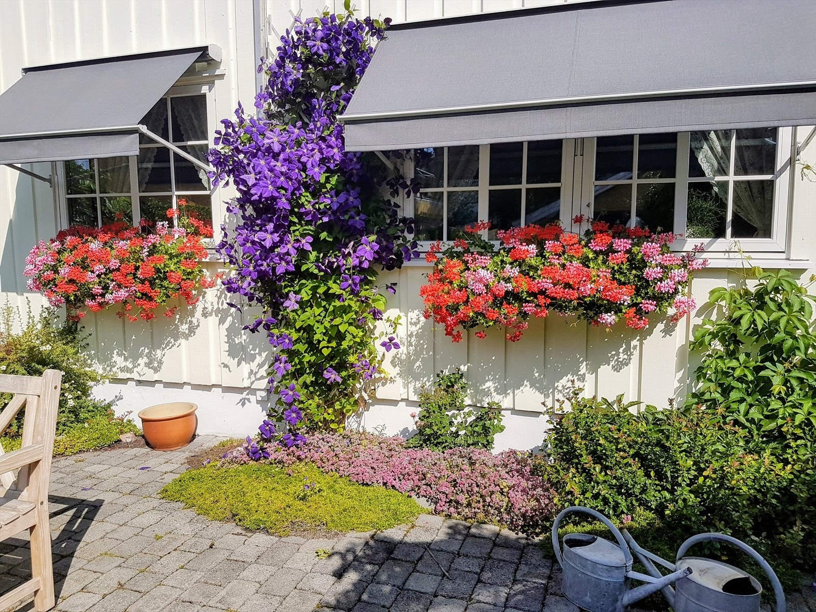 Hagen har flere fine blomsterded. Selgers eget sommerbilde Galleribilde