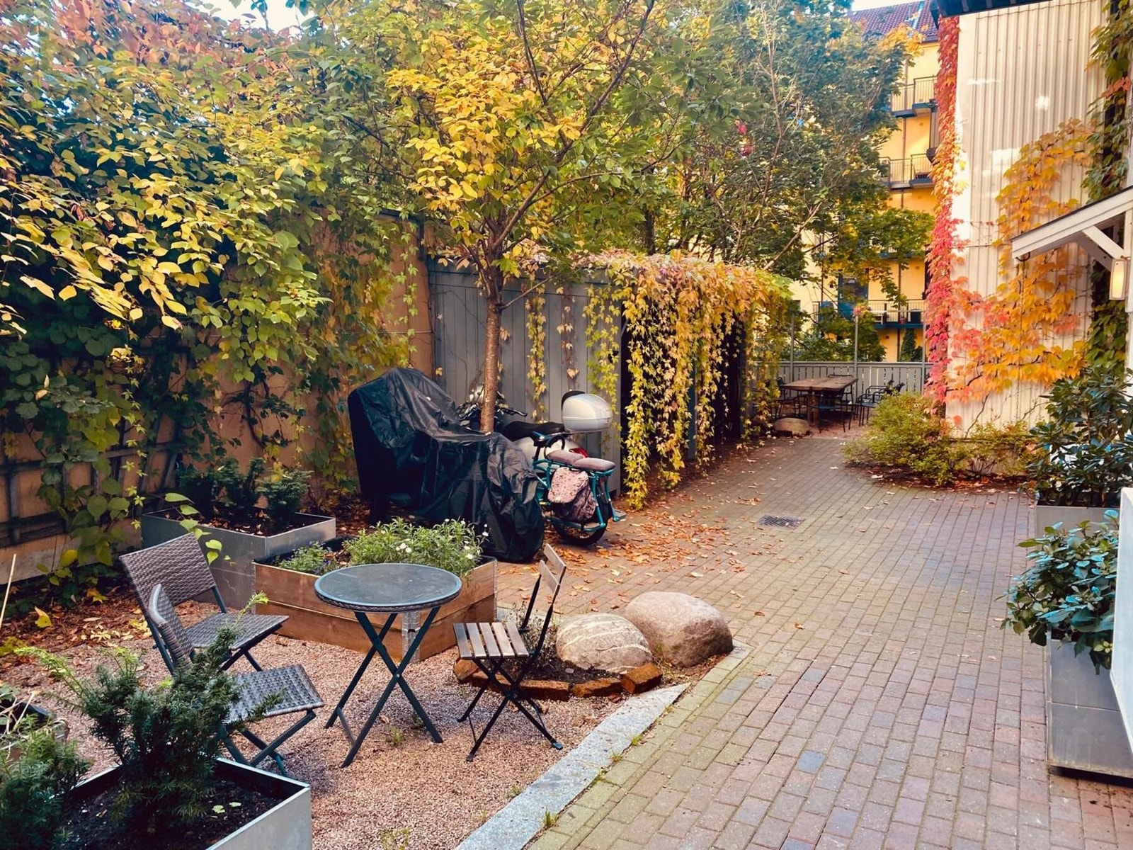 Bilder fra bakgården Galleribilde