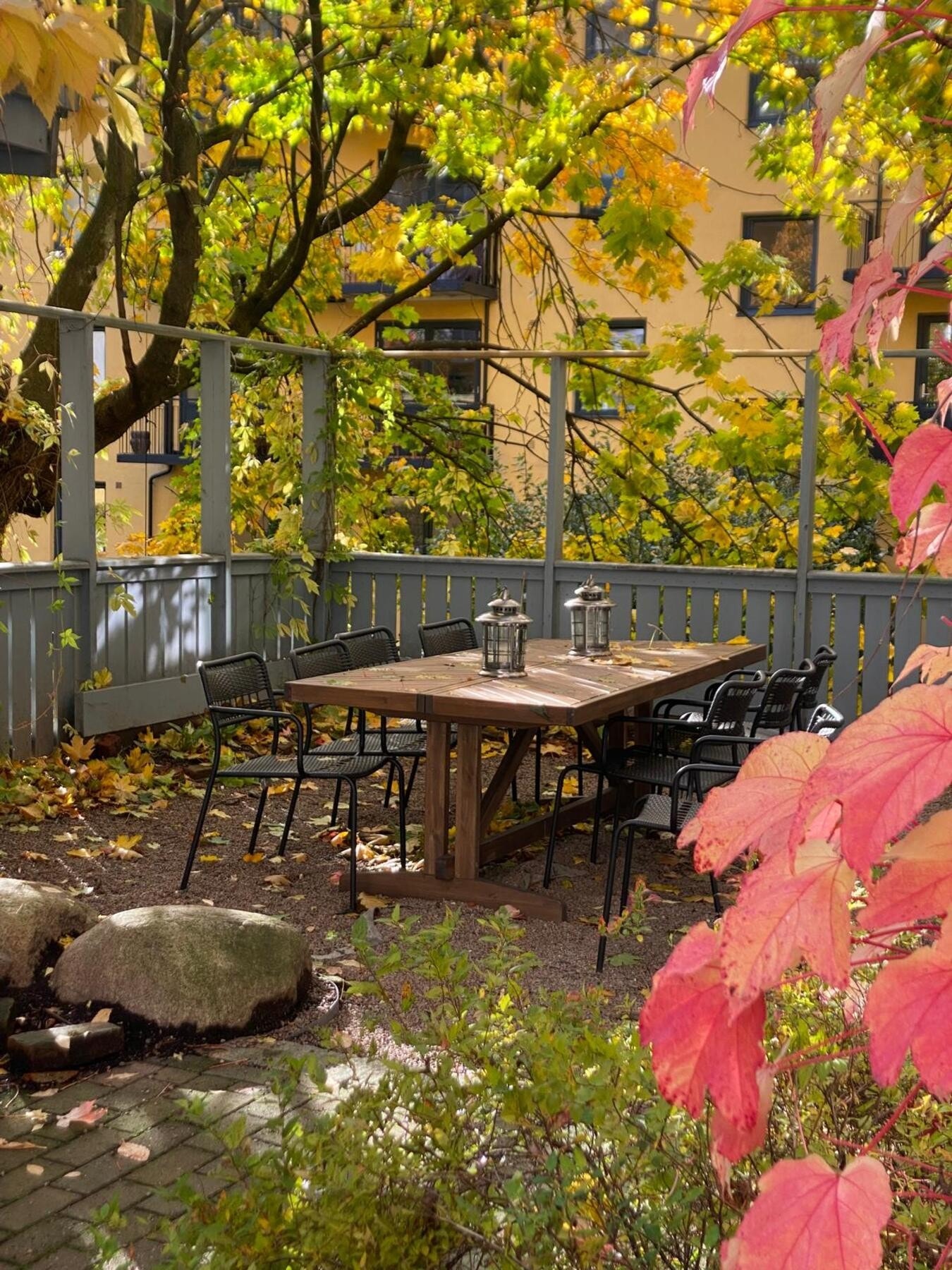 Bilder fra bakgården Galleribilde