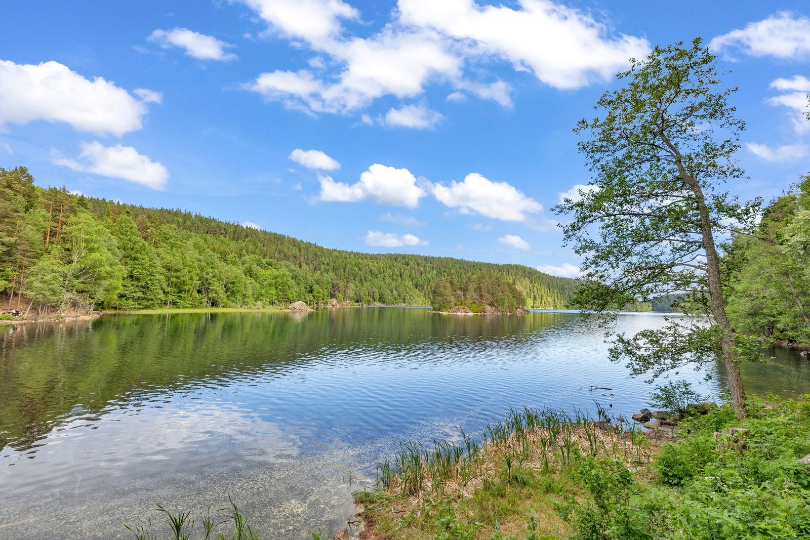 Lutvann ligger ca. 1,5 km unna, og er et eldorado for padling, fisking og fridykking Galleribilde