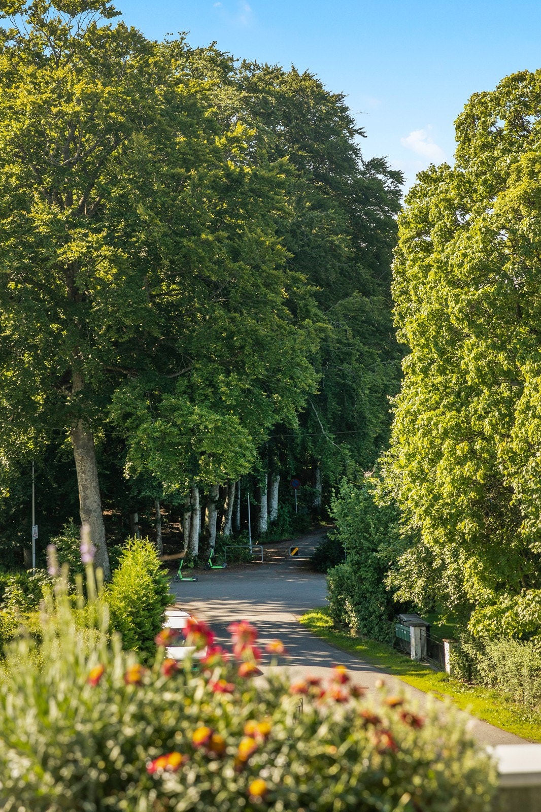 Nærområdet byr på flotte turmuligheter i et etablert og rolig boligområde. Galleribilde