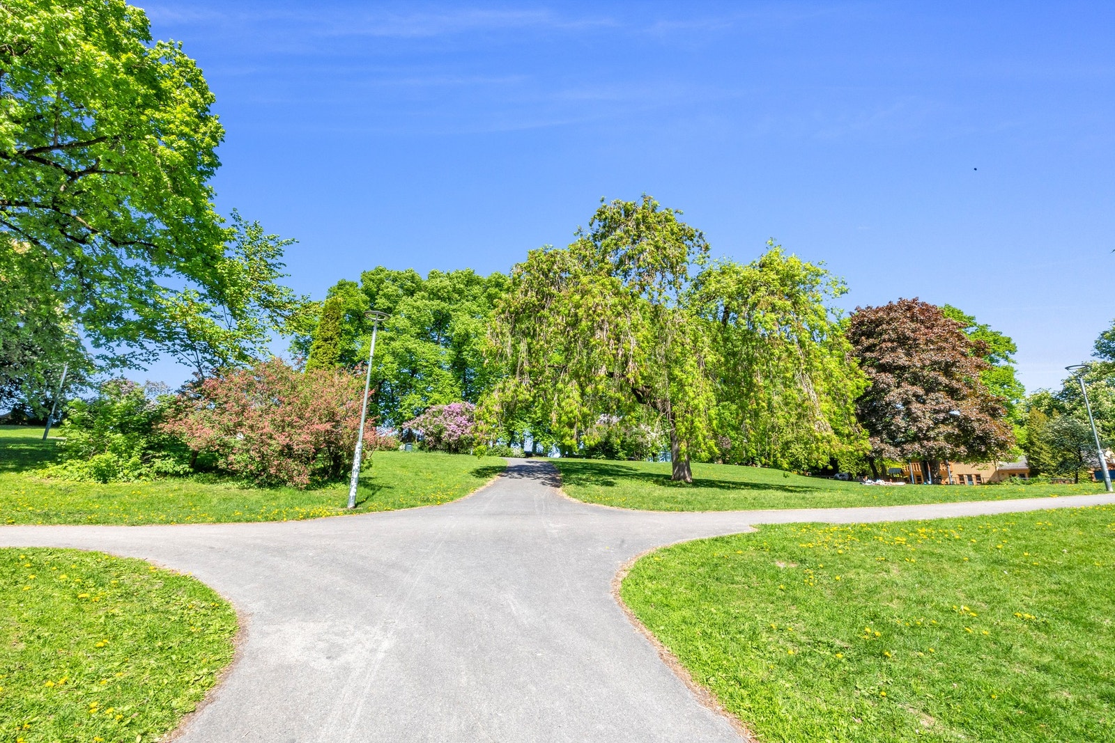 Bjølsenparken Galleribilde