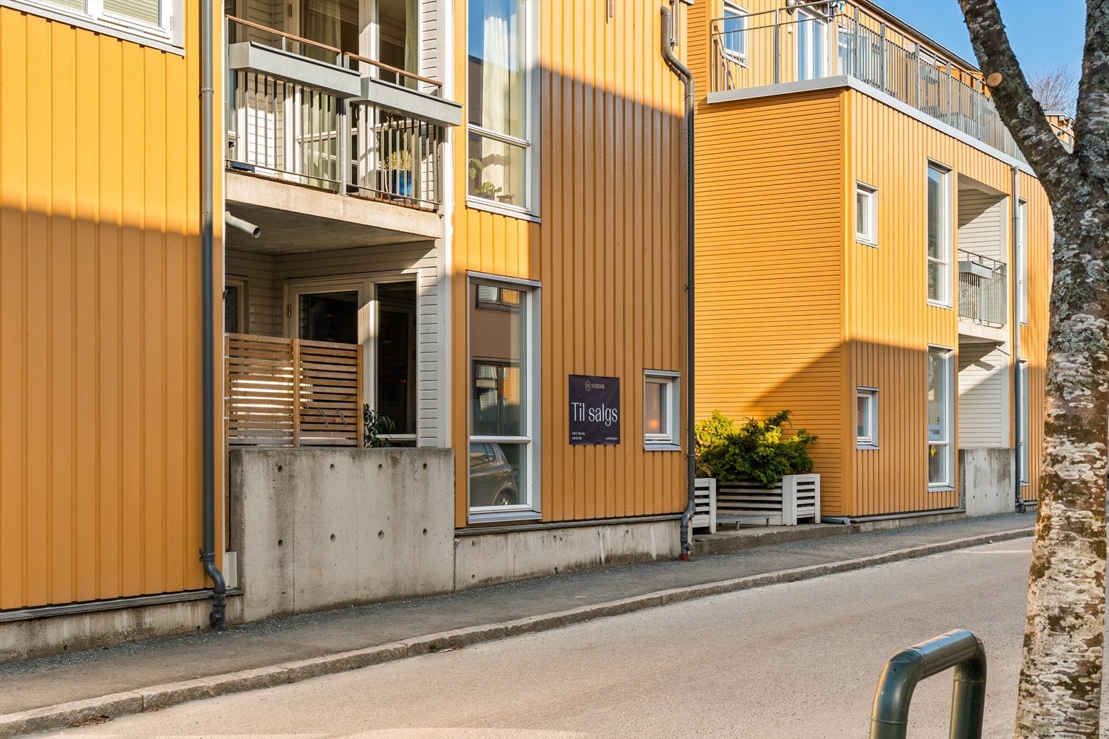 Singsakerbakken ligger på et solrikt høydedrag over Bakklandet i ei rolig og lite trafikkert gate. Galleribilde