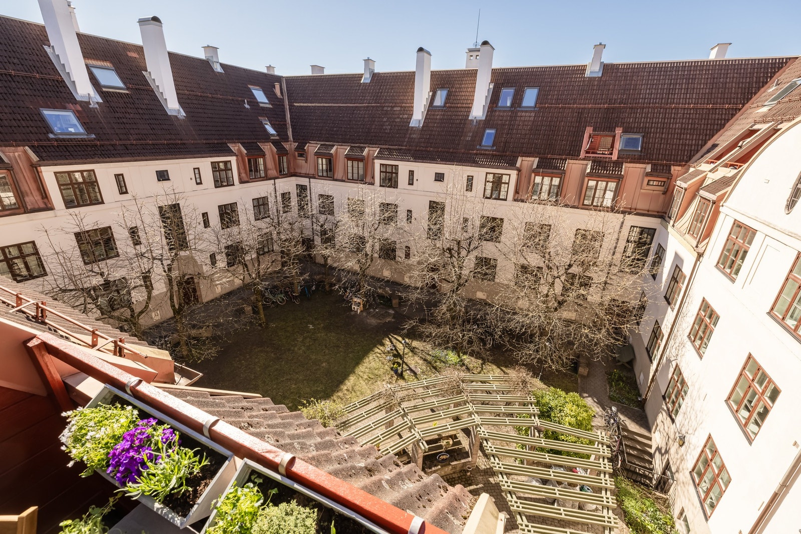 Fra takterrassen er det hyggelig utsyn over sameiets frodige bakgård. Galleribilde