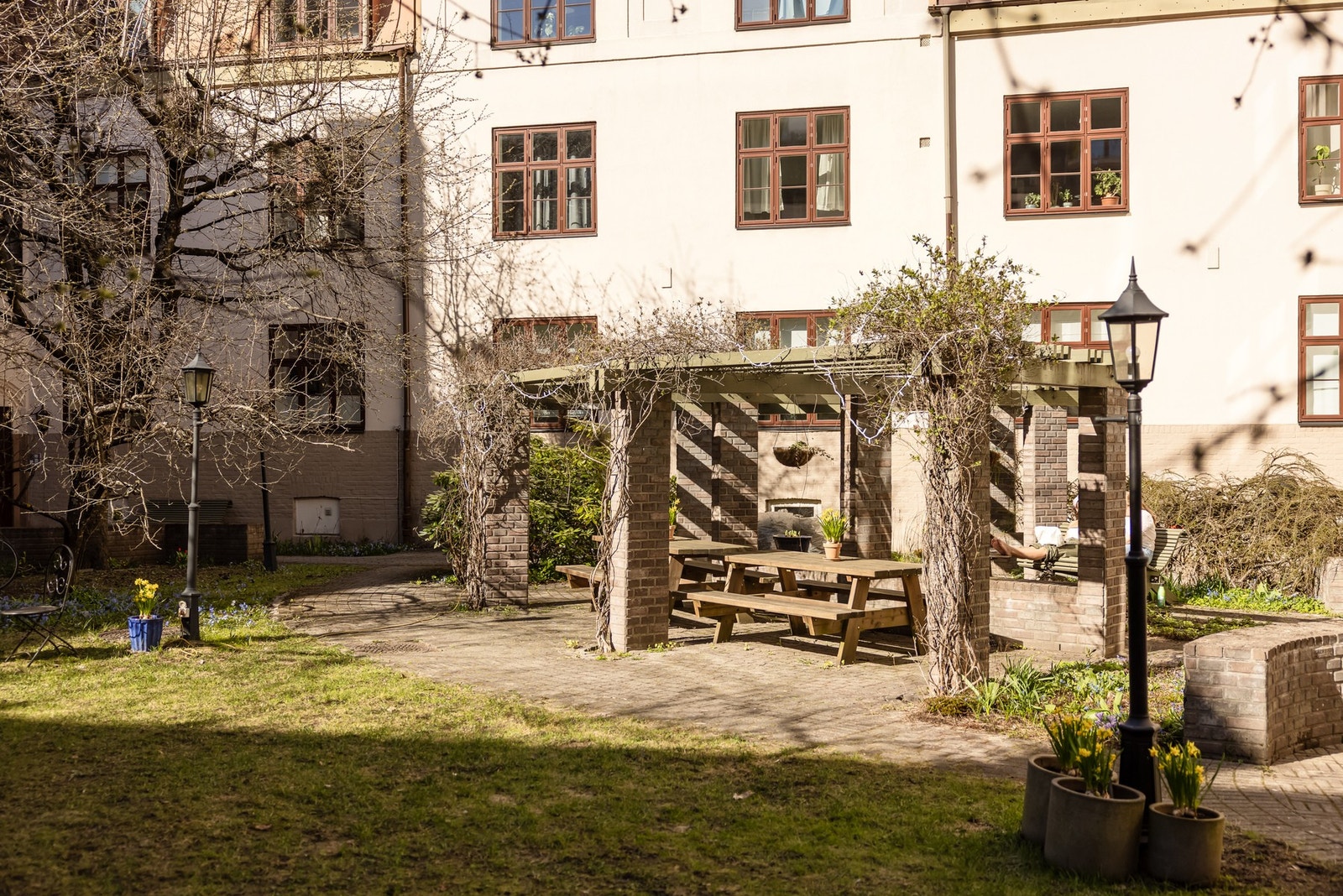 Dette er en nydelig bakgård du fort blir glad i! Galleribilde