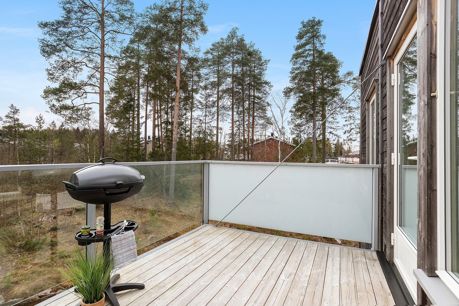 Her bor du usjenert mot en flott kolle med furutrær. Galleribilde