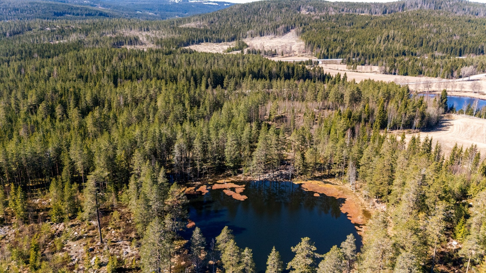 Ormputten ligger ca 5 min gange fra huset. Der er det gapahuk til allmenn bruk. Galleribilde