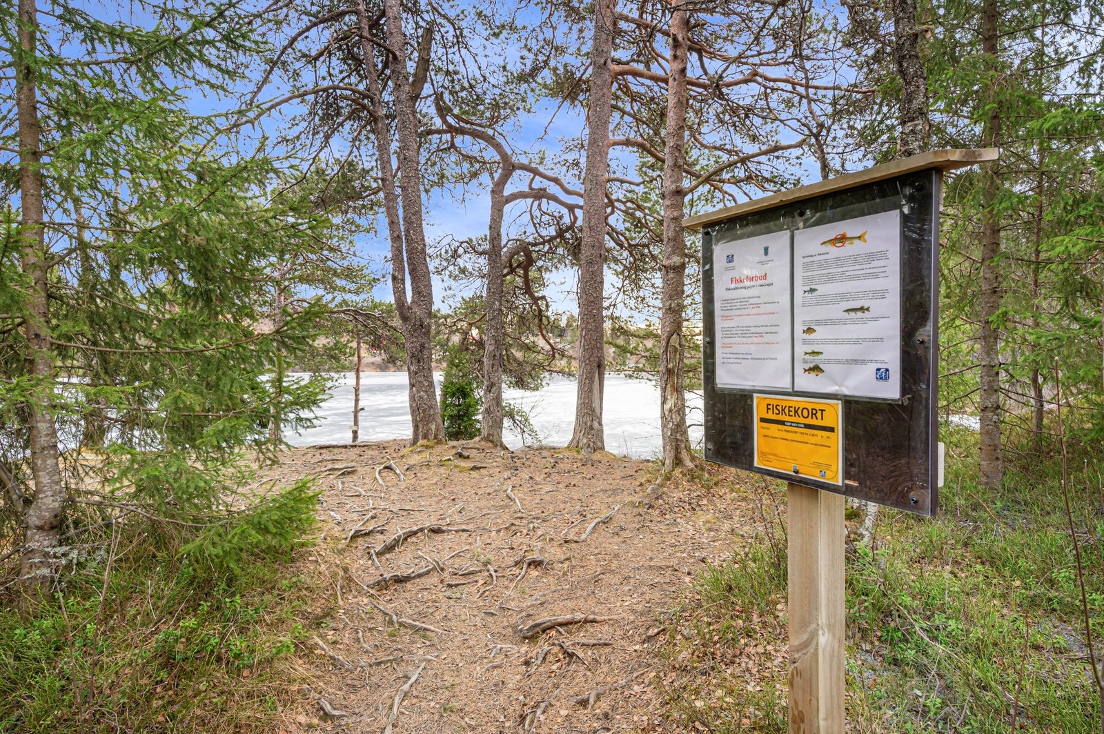 Fin beliggenhet på Kyvannet i naturskjønne omgivelser, like ved badeplasser og turstier innover Bymarka. Galleribilde
