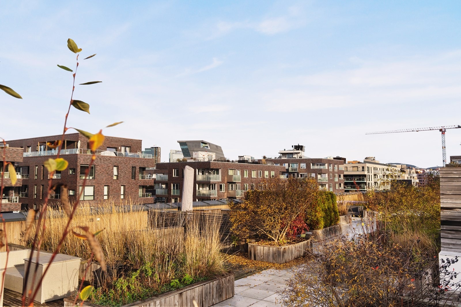 Beboerne har tilgang til en stor, felles takterrasse med vakker utsikt mot fjorden, deler av Oslo og Oslo havn. Terrassen er utstyrt med blant annet sittegrupper, grill og en plenbelagt plass for soling. Galleribilde