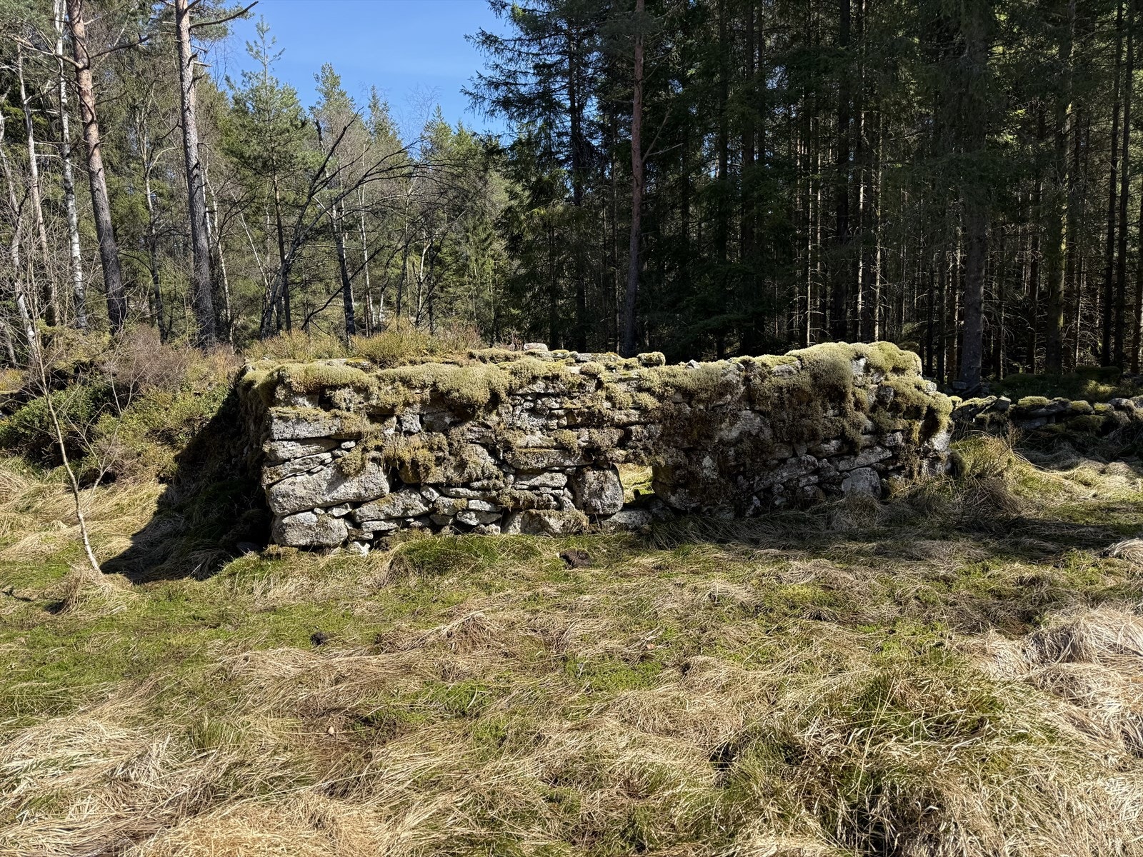 Det er vernet To tufter, geil og omringende steingjerde rundt en liten myr. Galleribilde