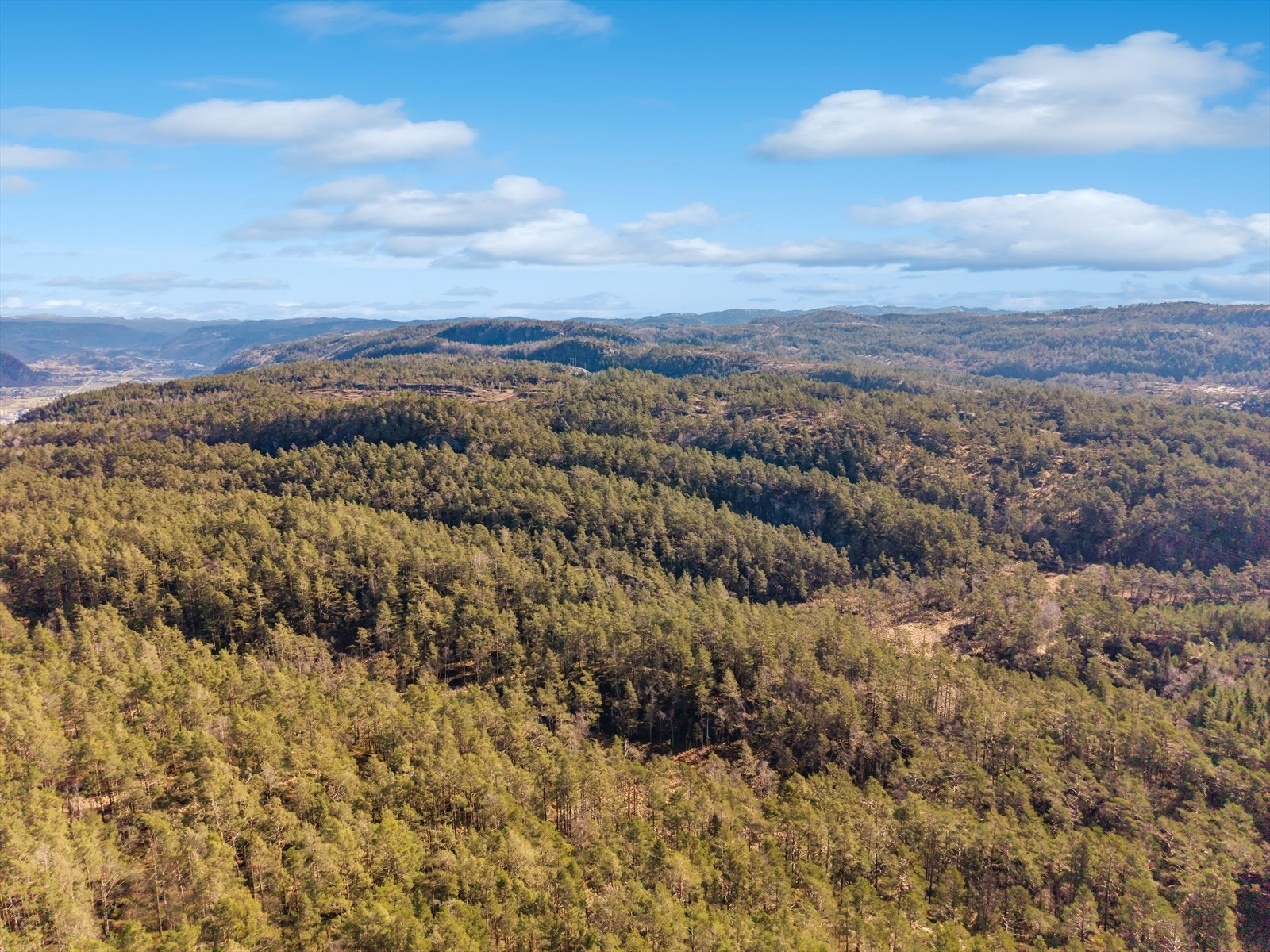 1776255653_DJI_20260415101901_0233_D.jpg Galleribilde