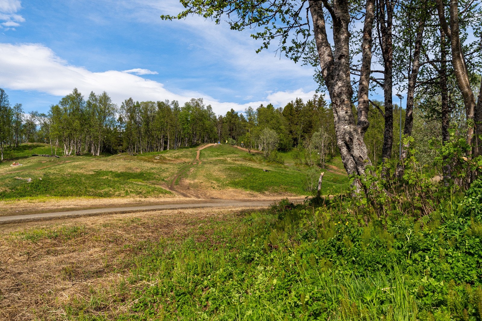 Kun en kort gåtur unna Charlottenlund.