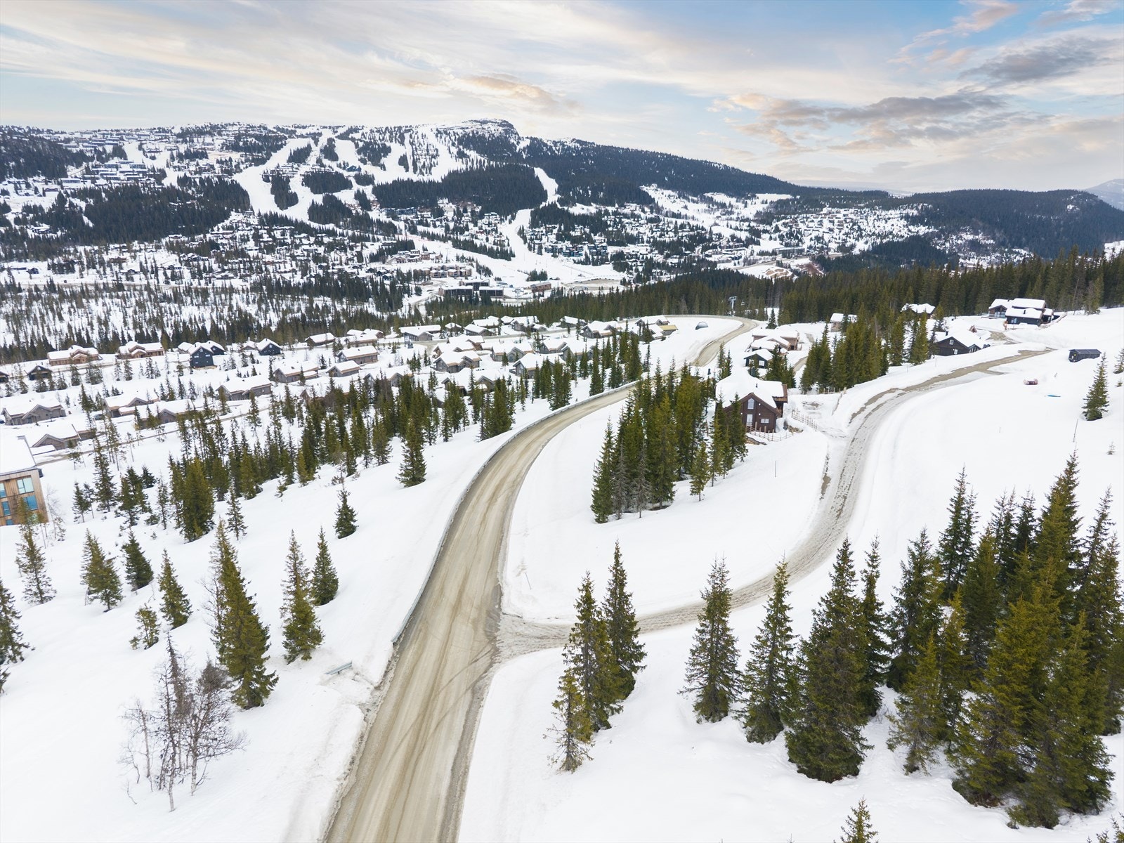 Varden er superpopulær for familier på grunn av de brede og snille løypene, skogområder og fun slopes. Galleribilde