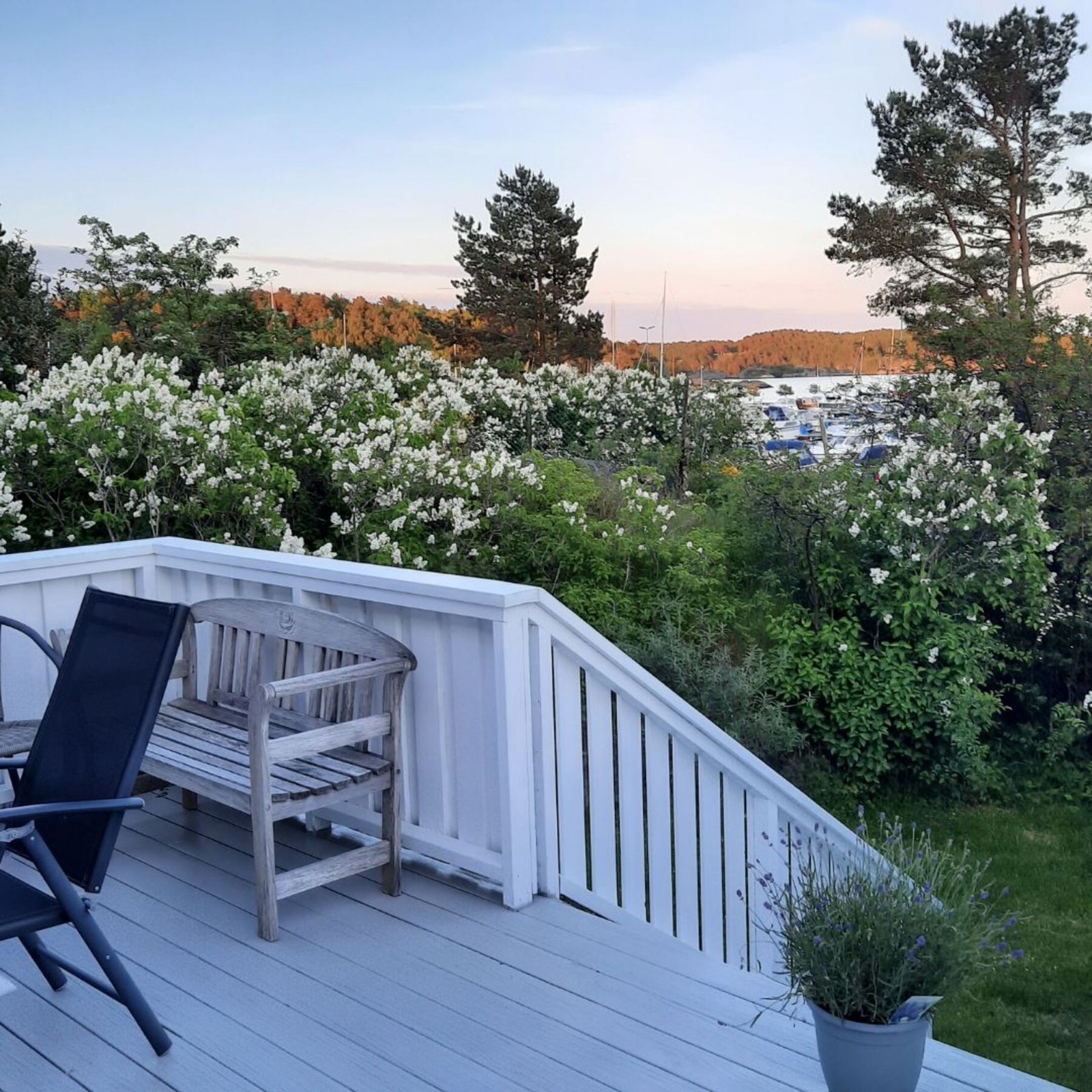 Fint når det blomstrer - foto utlånt av eier Galleribilde