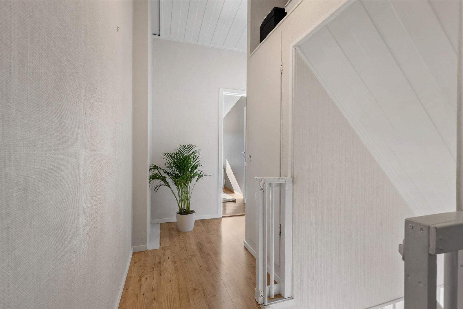 Det er et lite kott i gangen for ekstra oppbevaringsplass. Galleribilde