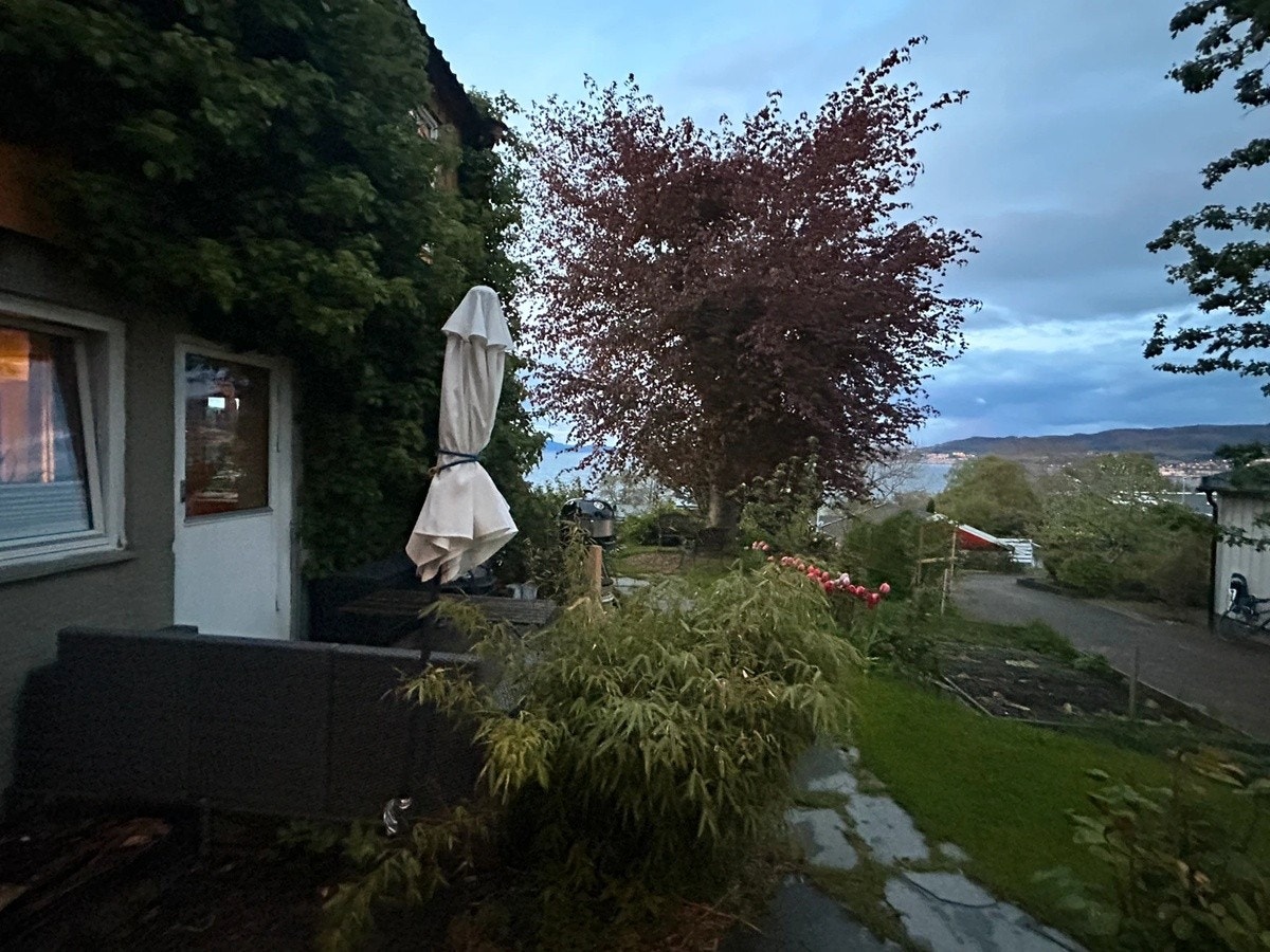 Platting ved hagedør med utsikt Galleribilde