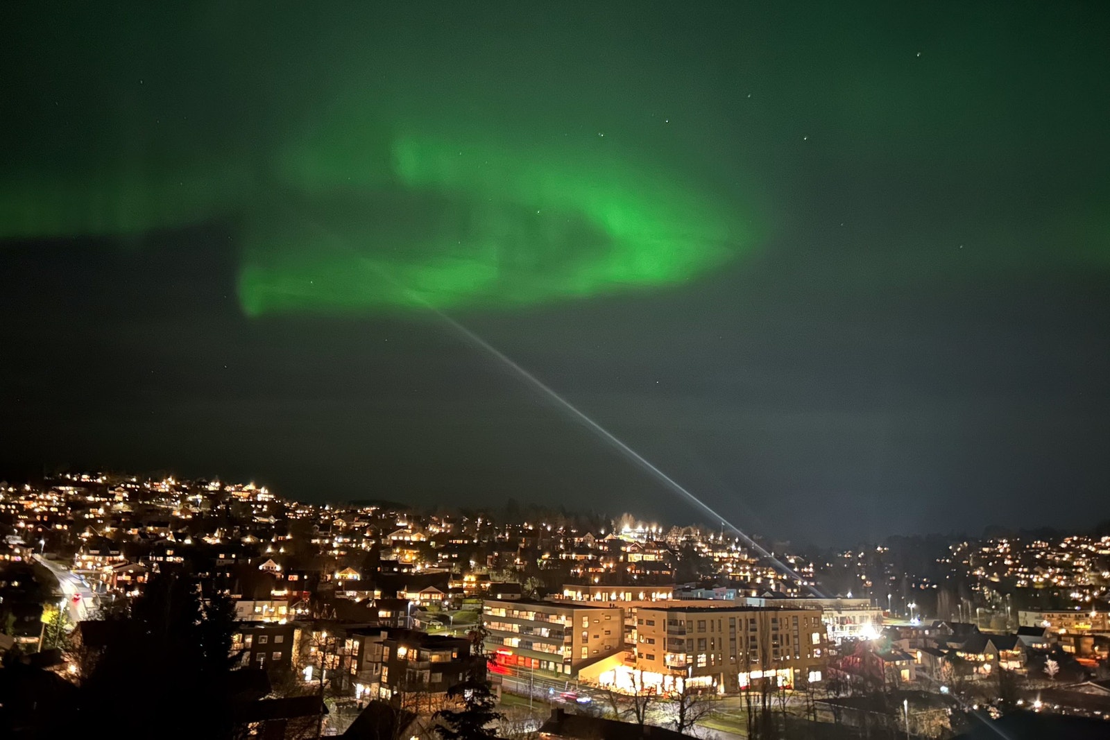 Selgers bilde - med nordlys Galleribilde