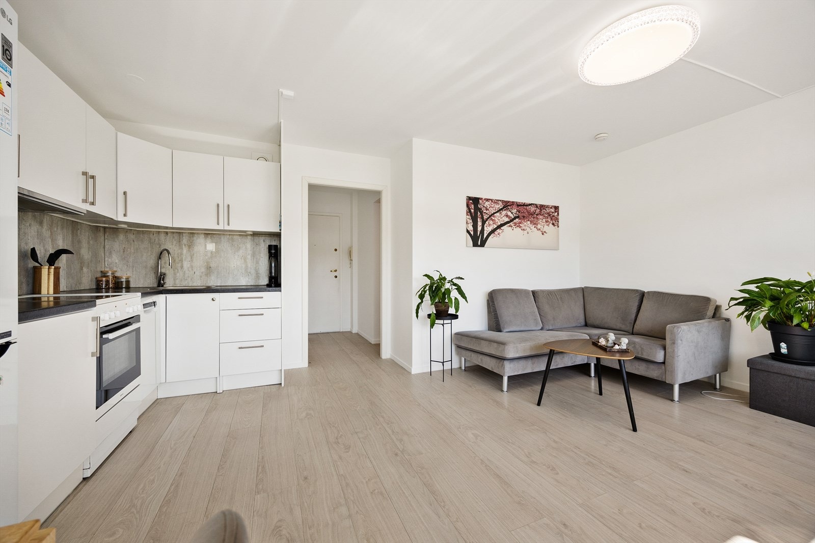 Leiligheten har et gjennomgående laminatgulv og lysmalte overflater som skaper et moderne inntrykk. Galleribilde