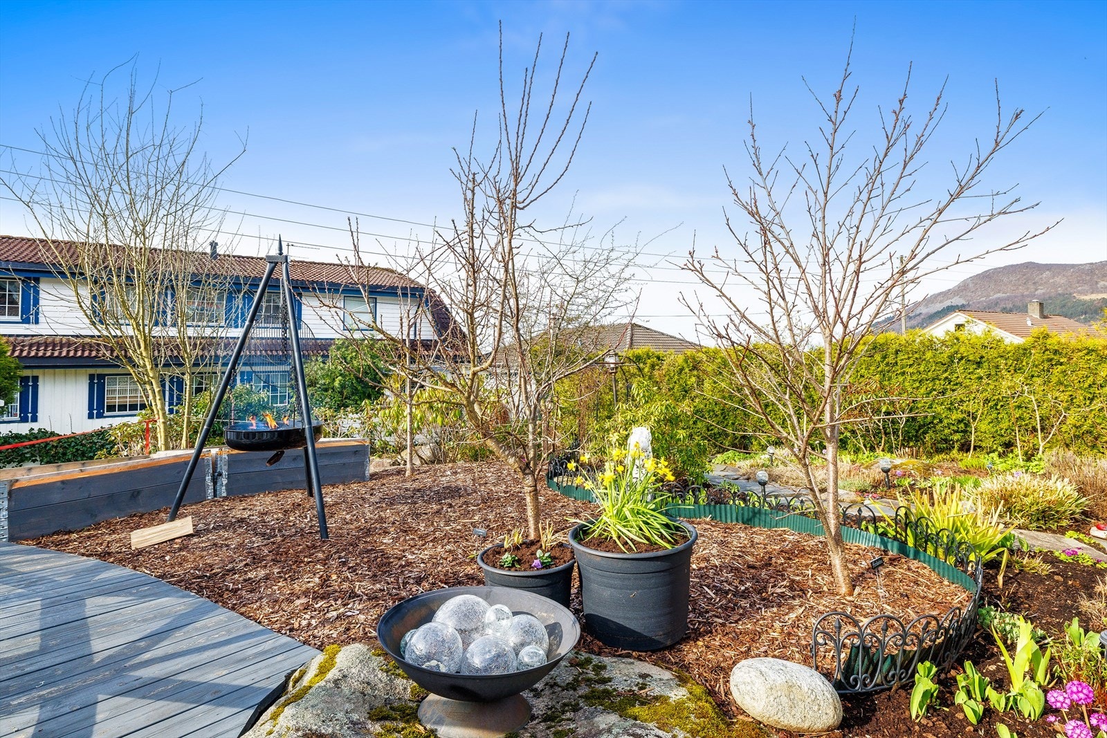 Frodige bed med variert beplantning. Galleribilde