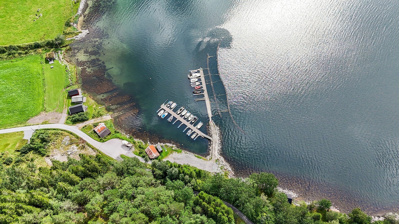 Dronebilde av småbåthavn ved fjorden. Galleribilde