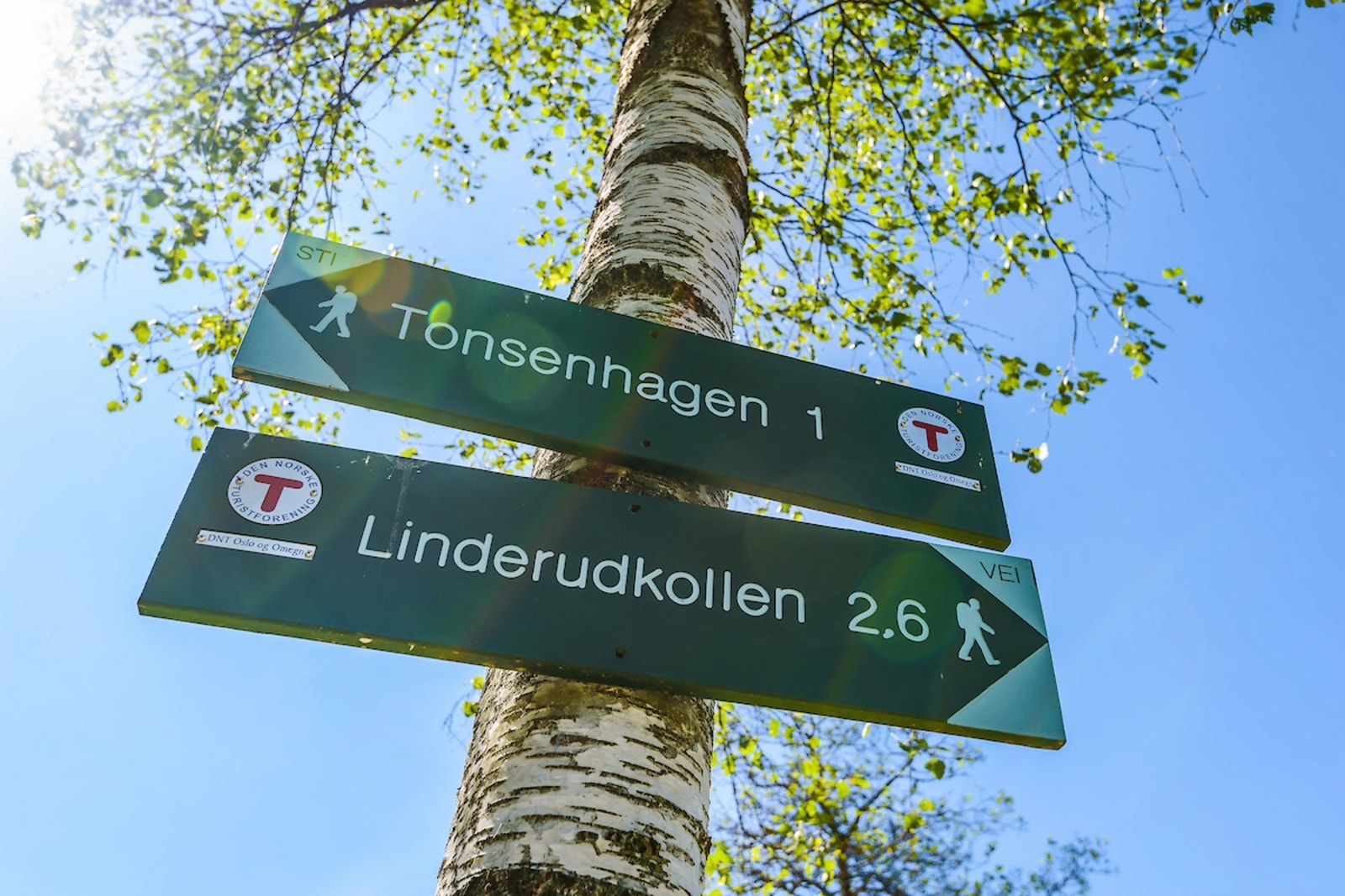 Herlige turområder i marka i umiddelbar nærhet Galleribilde