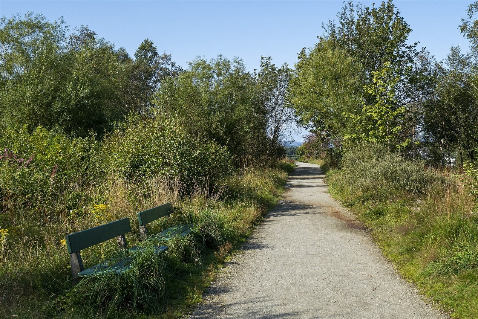 Nærområde. Galleribilde