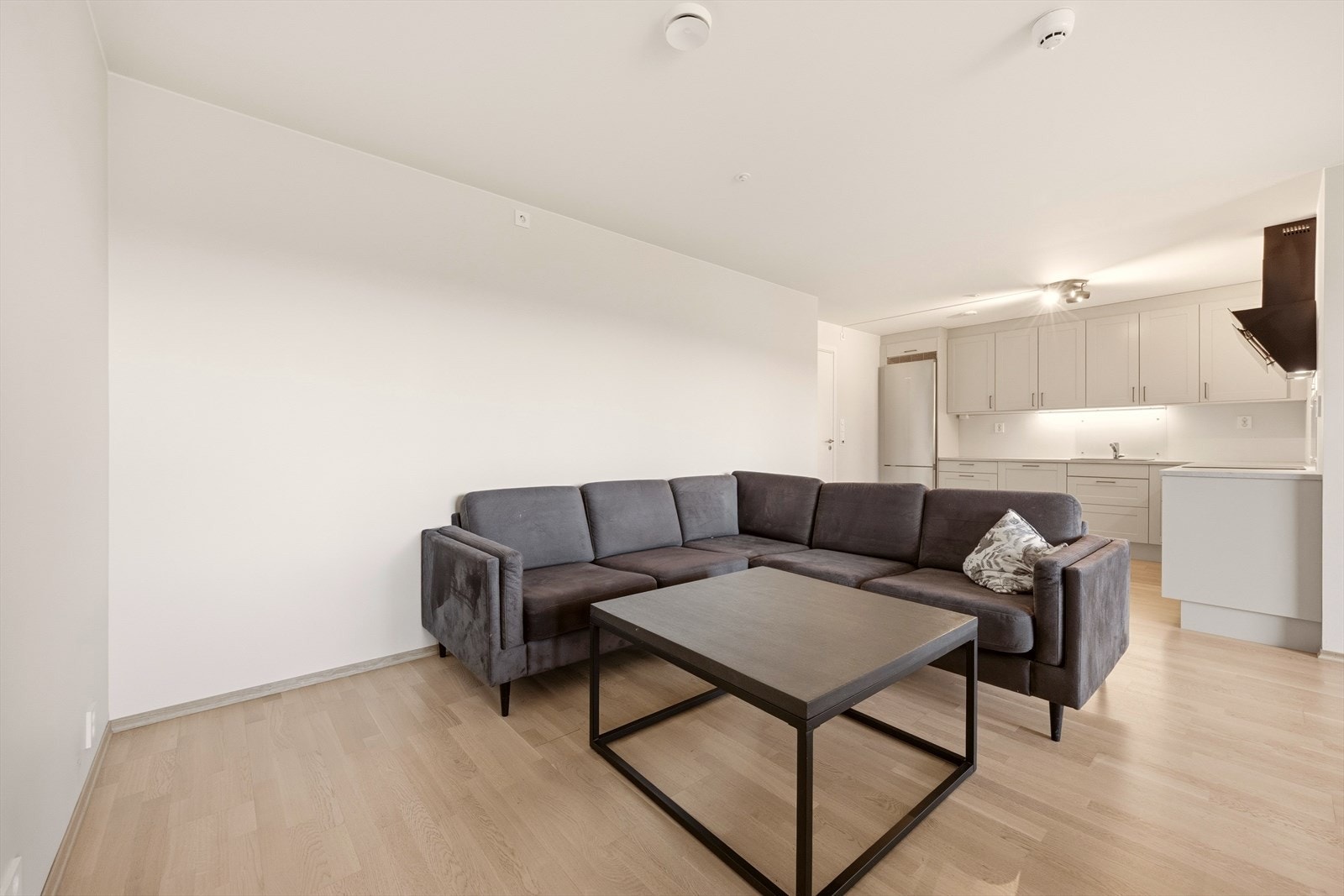 Leiligheten har nyere standard med parkett på gulv og slette malte vegger Galleribilde