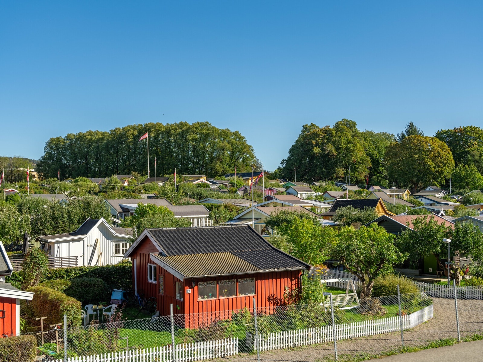 En av de nærmeste naboene er Hjemmets kolonihager, som virkelig bør besøkes nå på denne årstiden. Galleribilde