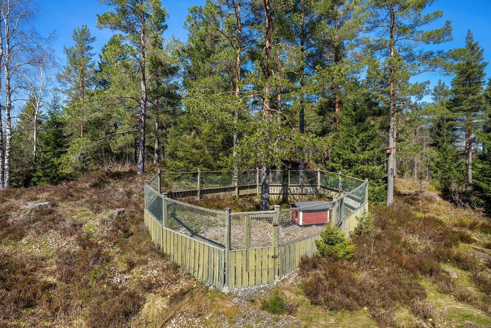 Eier har satt opp en hundegård utenfor tomtens grenser etter avtale med grunneier. Galleribilde