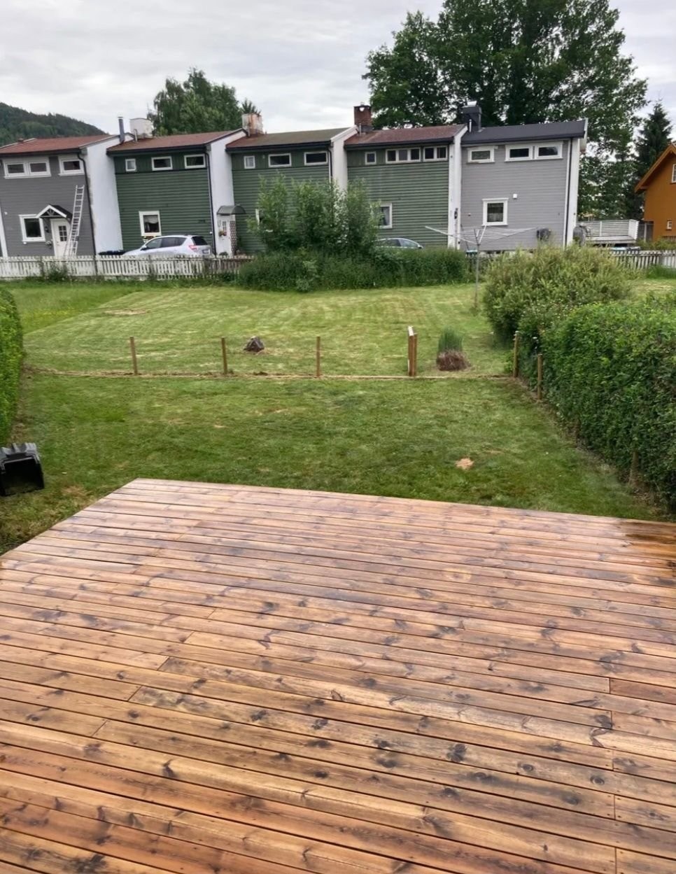Stort uteområde med plen og hekk Galleribilde