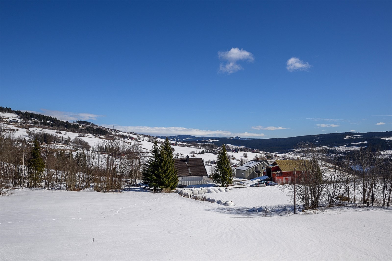 Fra eiendommen er det kun 1,2 km til skogsbilvei med tilgang til løypenett og turstier rundt Bjørga og Hovdekollen. Galleribilde