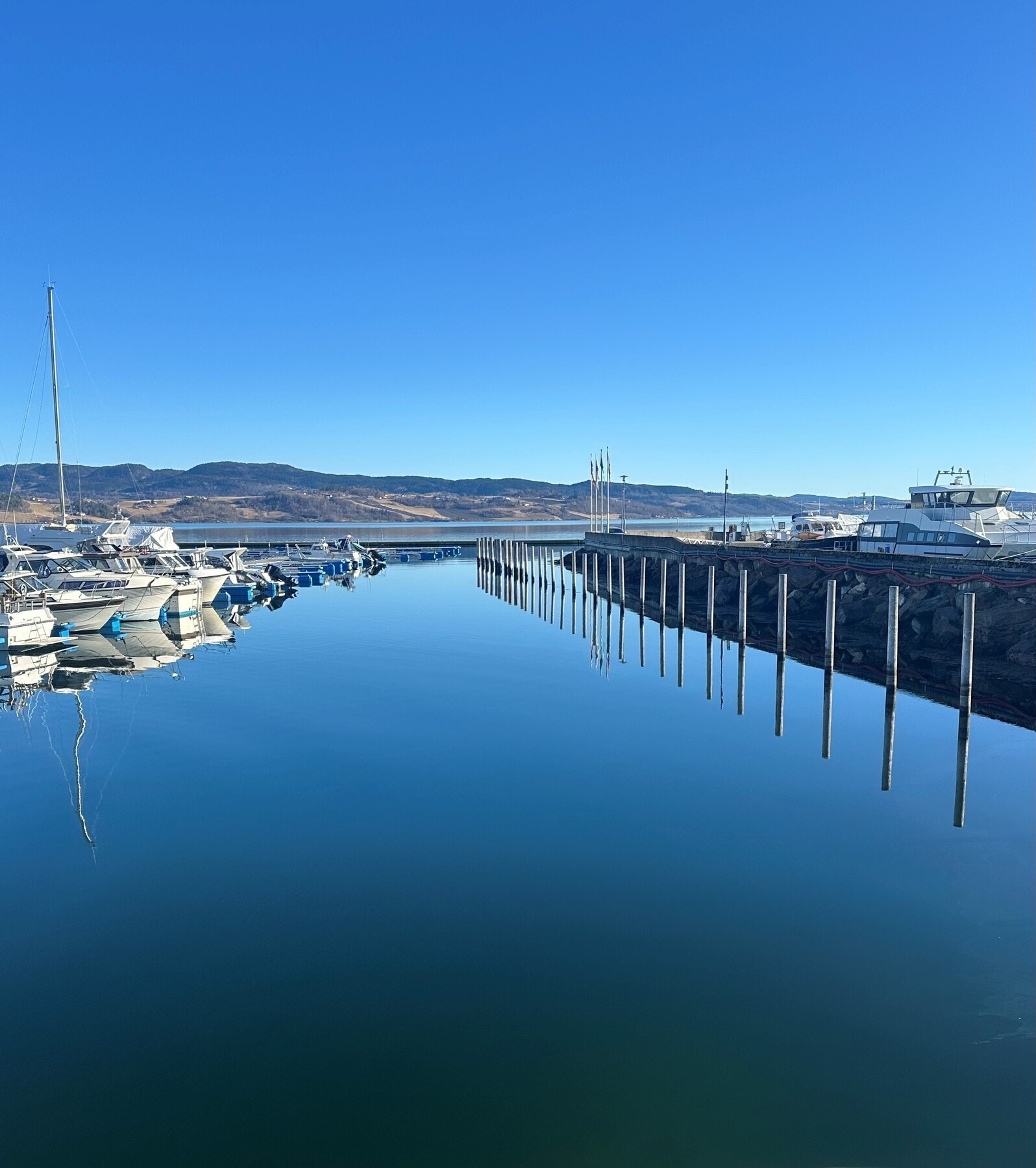Selgers egne bilder.
Bilde fra Marinaen som ligger like ved eiendommen Galleribilde