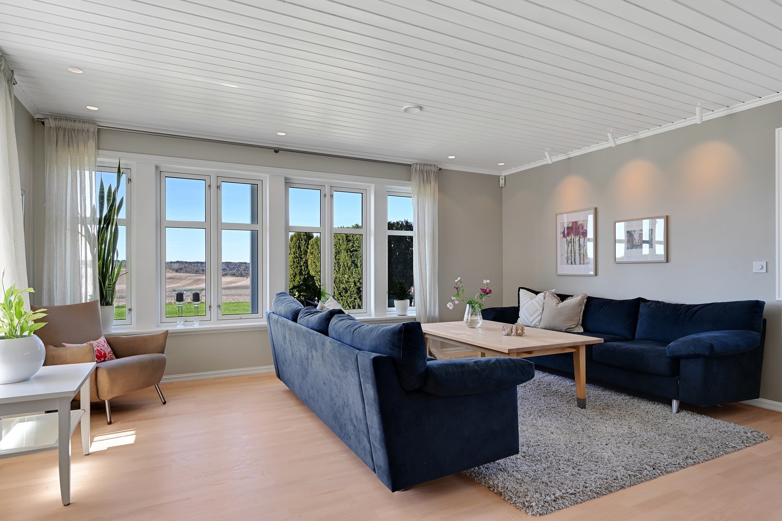 God plass til en stor sofagruppe for hele familien. Galleribilde